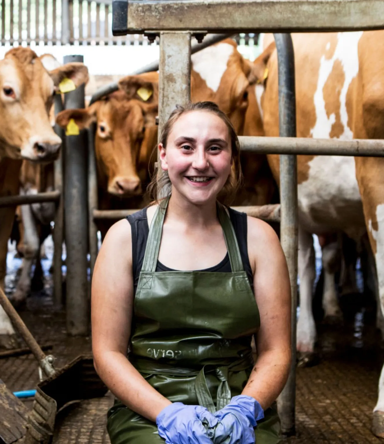 Max People Your Ideal Source for New Zealand Dairy Jobs